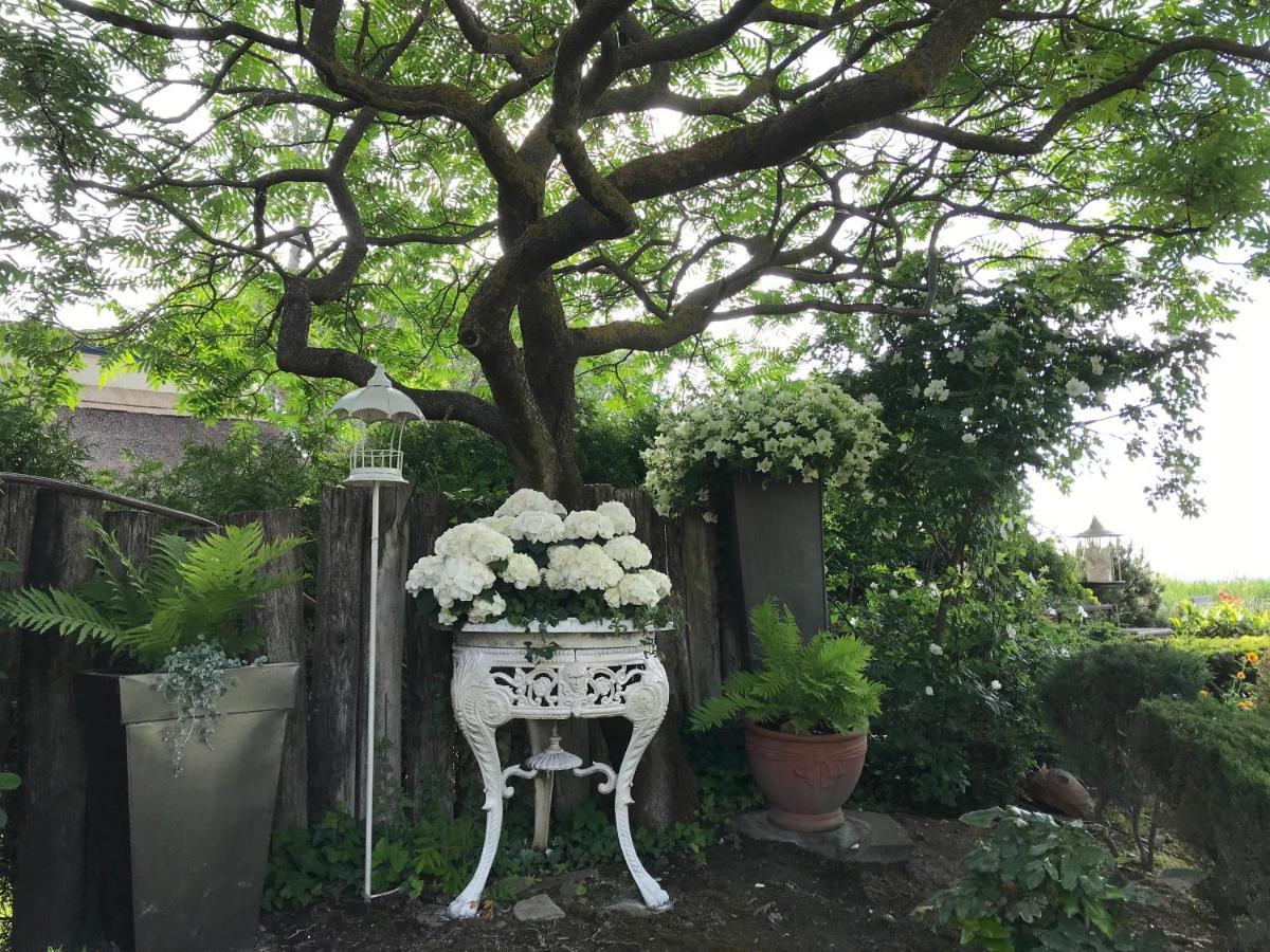 فيلا Viktoria House بالاتونسزارسكو المظهر الخارجي الصورة