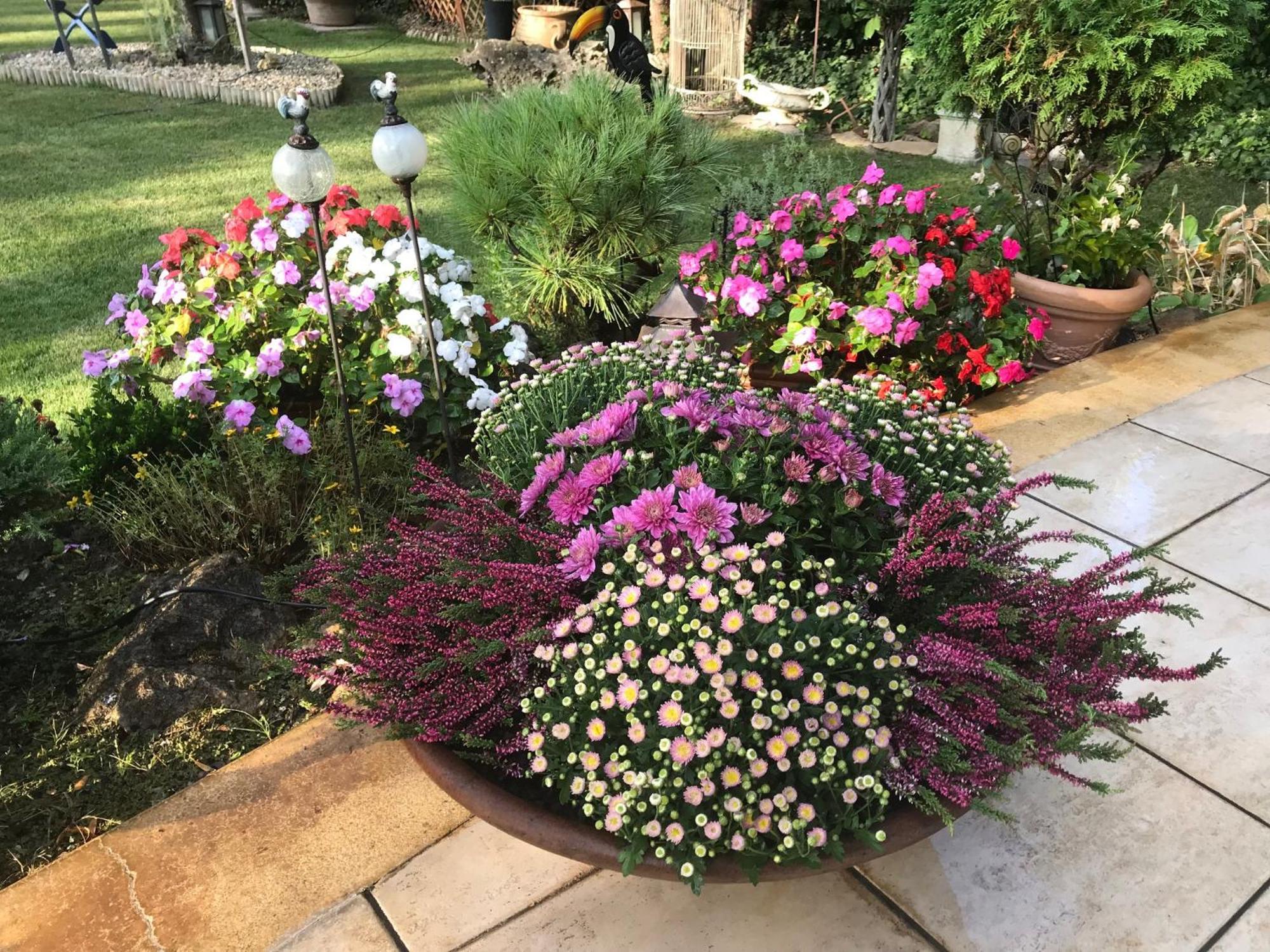 فيلا Viktoria House بالاتونسزارسكو المظهر الخارجي الصورة